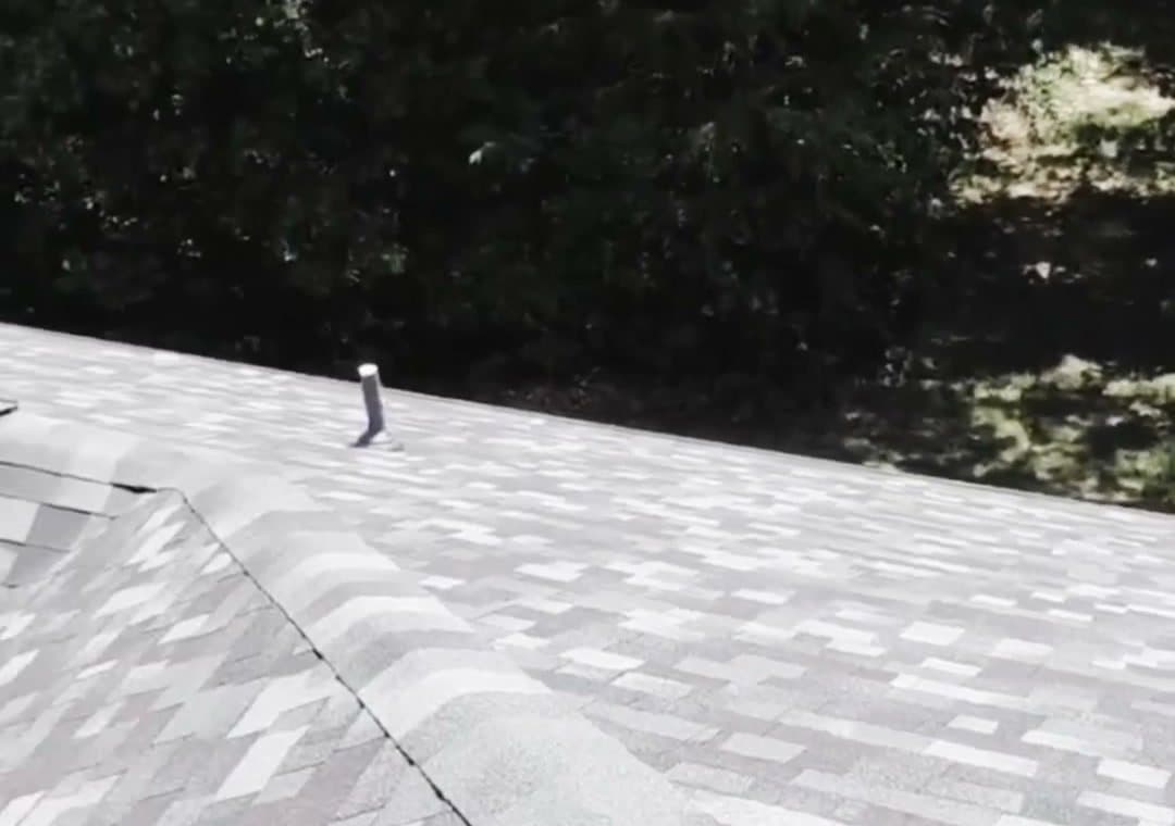 Newly installed architectural shingles running up to a clean hip ridge on a Sobczak Exteriors job, tree line behind