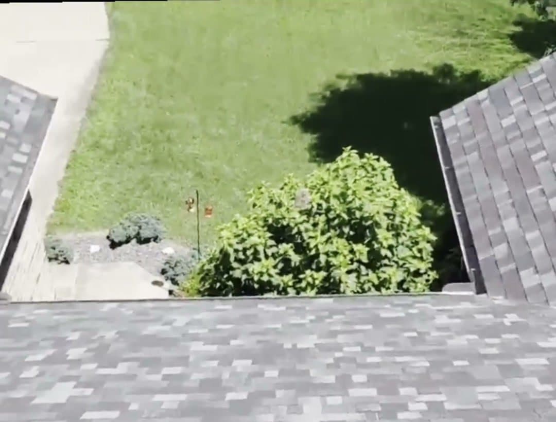 The eave and gutter line of a completed Sobczak Exteriors roof, looking down over the lawn and landscaping